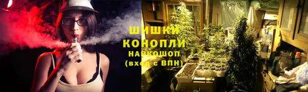 MESCALINE Аркадак
