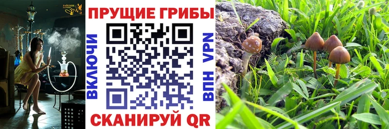 Псилоцибиновые грибы мухоморы darknet как зайти Грайворон